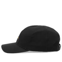 Arcteryx Bird Word Cap 24k Black