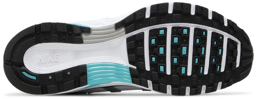 Nike P-6000 Dusty Cactus