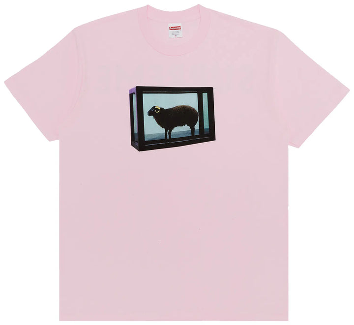 Supreme x Damien Hirst T Shirt Light Pink