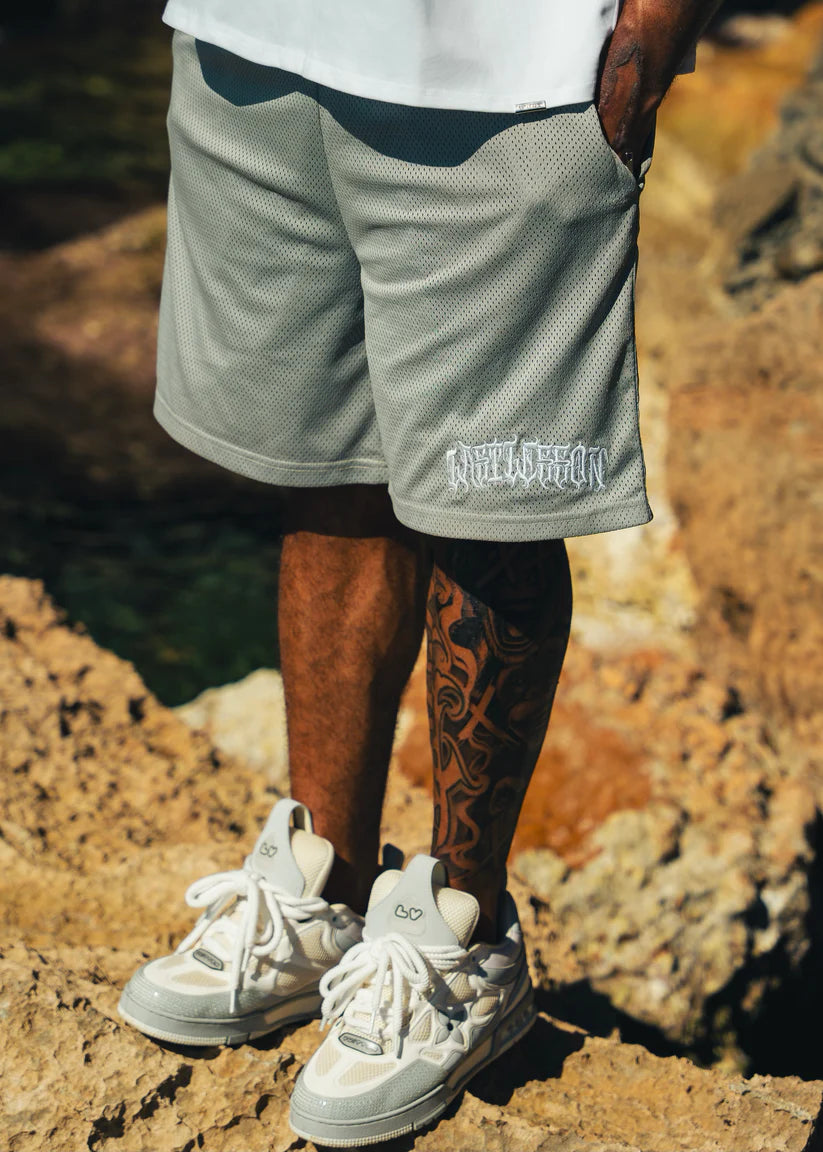 Last Lesson Mesh Shorts Grey