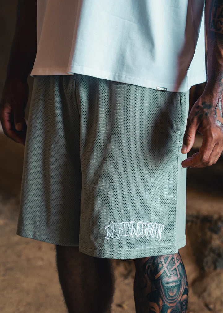 Last Lesson Mesh Shorts Grey