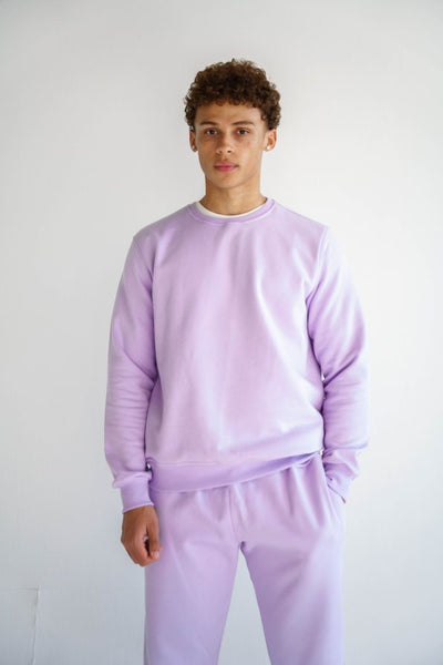 The Pastel House Sweatshirt Lilac