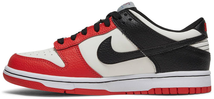 Nike Dunk Low NBA 75th Anniversary Chicago GS